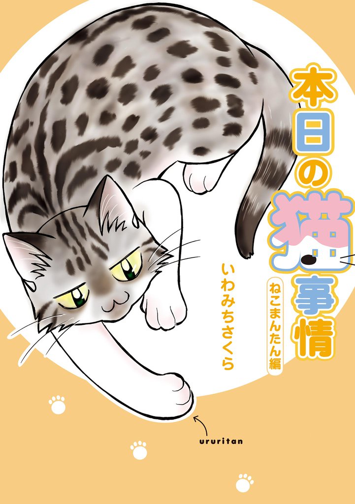 本日の猫事情 10 冊セット 全巻