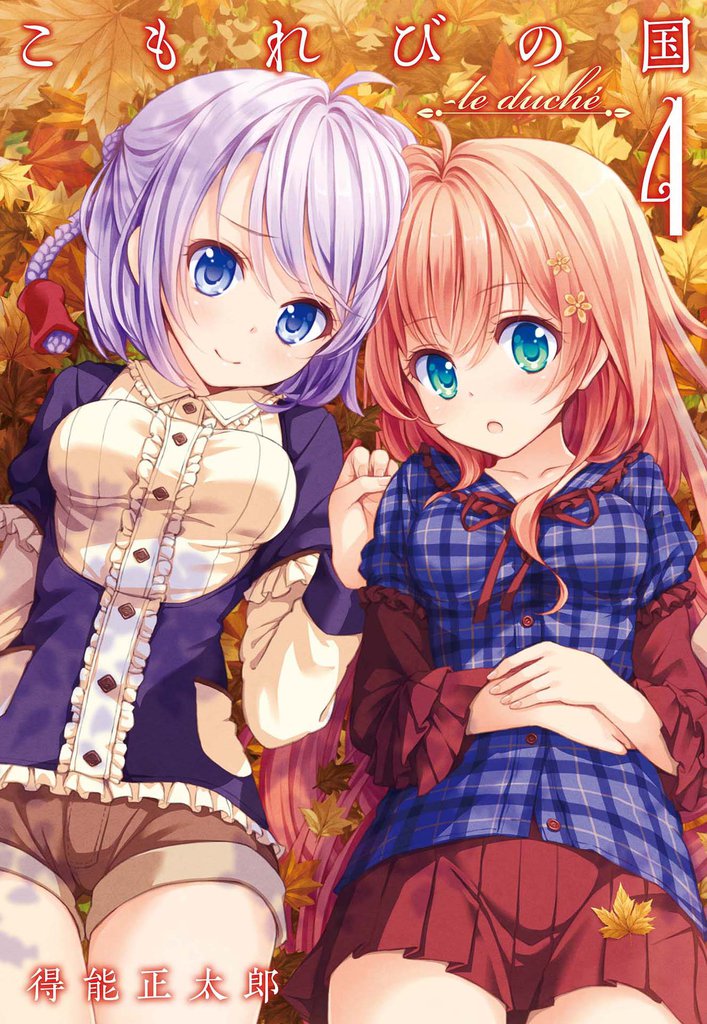 こもれびの国 4 冊セット 全巻