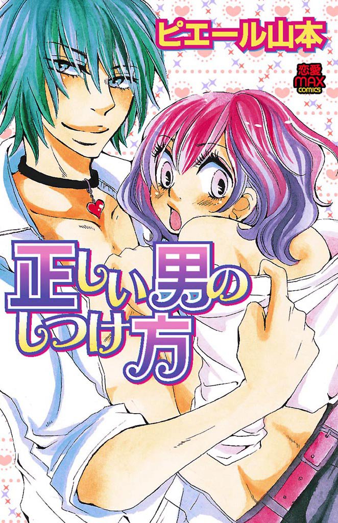 正しい男のしつけ方