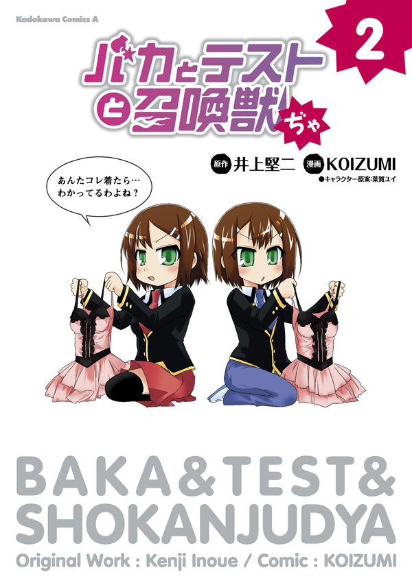 バカとテストと召喚獣ぢゃ　2巻