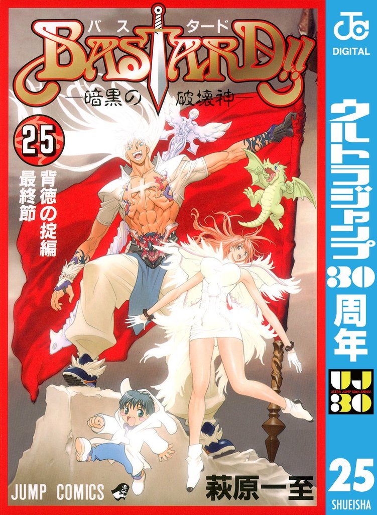 BASTARD！！ 25