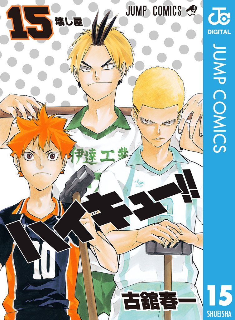 ハイキュー！！ 15