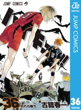 漫画 電子書籍 ハイキュー！！ の表紙画像