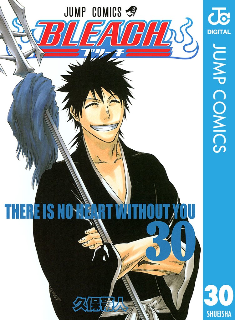 BLEACH モノクロ版 30