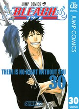 漫画 電子書籍 BLEACH モノクロ版 の表紙画像