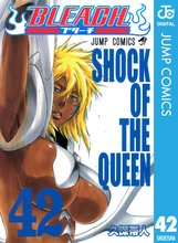 マンガ 電子書籍 BLEACH モノクロ版 の表紙画像