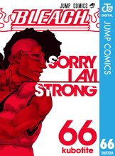 漫画 電子書籍 BLEACH モノクロ版 の表紙画像