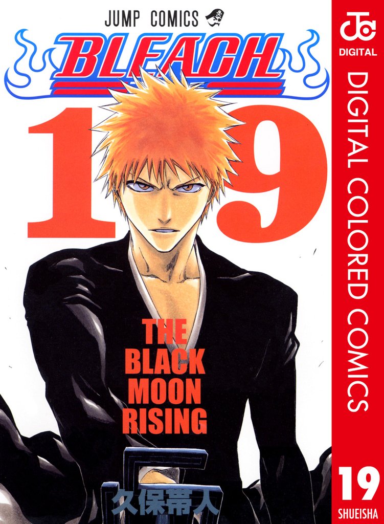 BLEACH カラー版 19