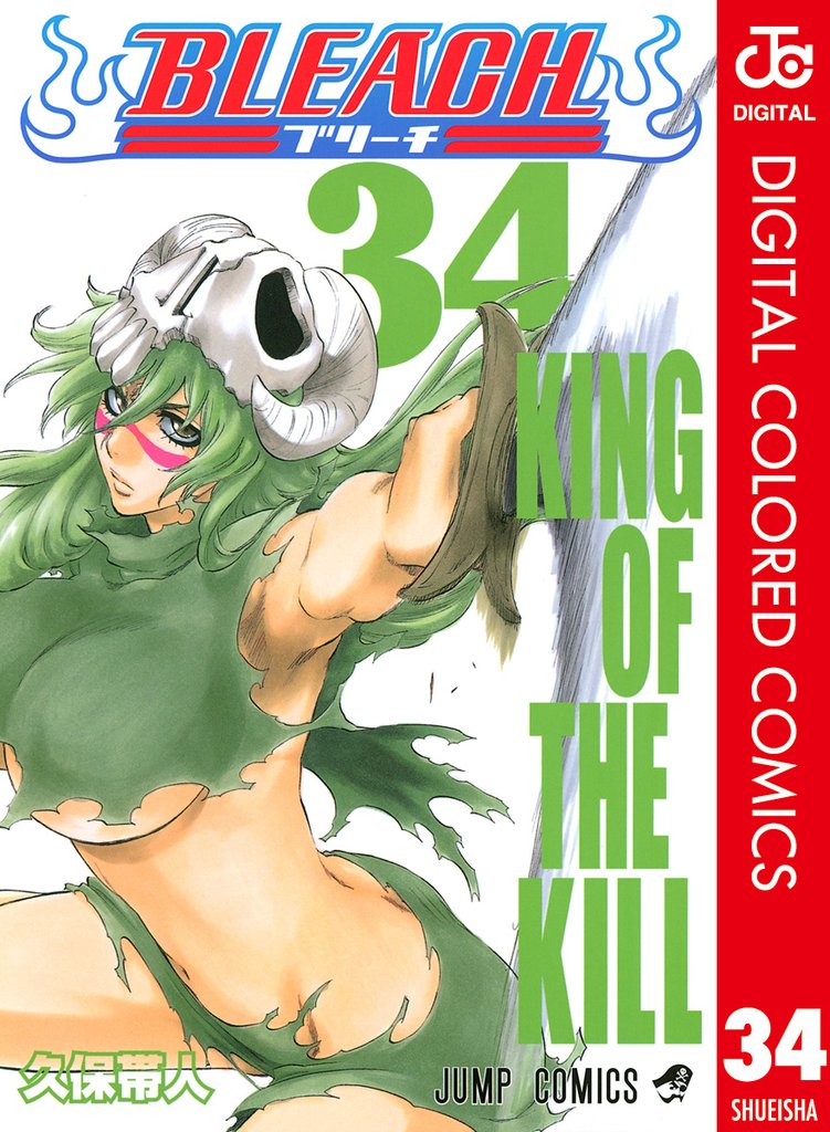 BLEACH カラー版 34