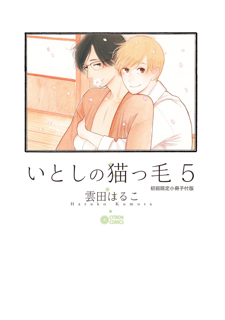 いとしの猫っ毛 5 冊セット 最新刊まで