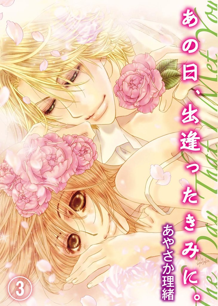 あの日、出逢ったきみに。 3 冊セット 全巻