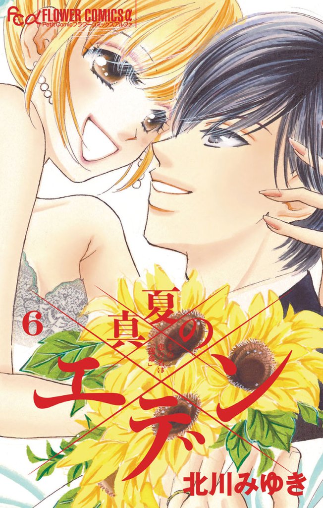 真夏のエデン 6 冊セット 全巻