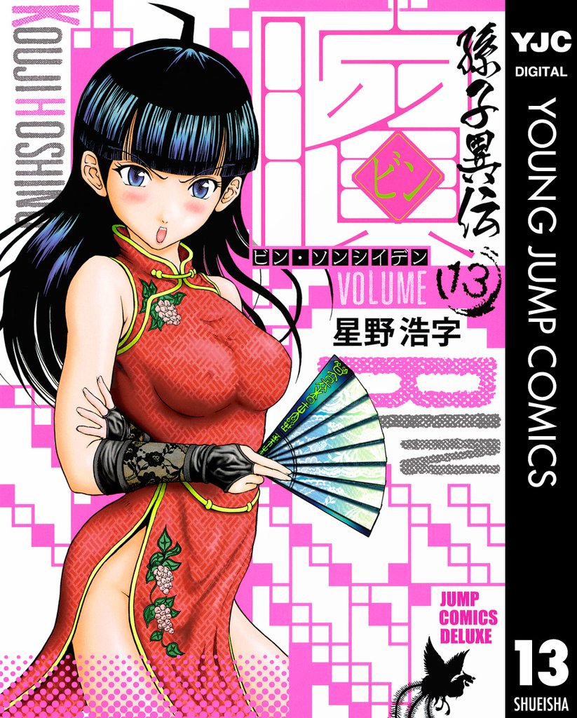 ビン～孫子異伝～ 13