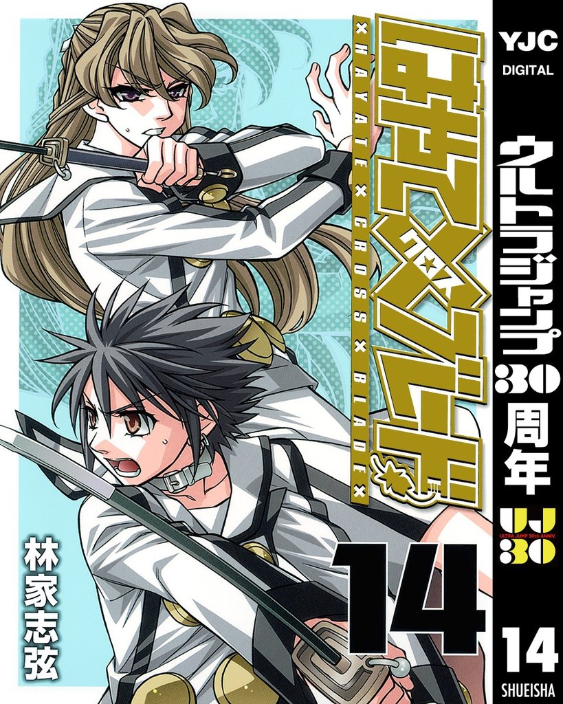 はやて×ブレード 14