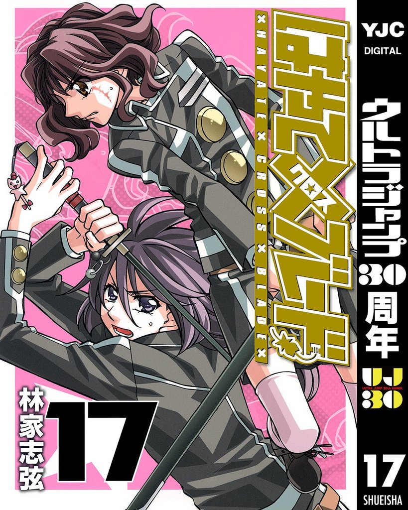 はやて×ブレード 17