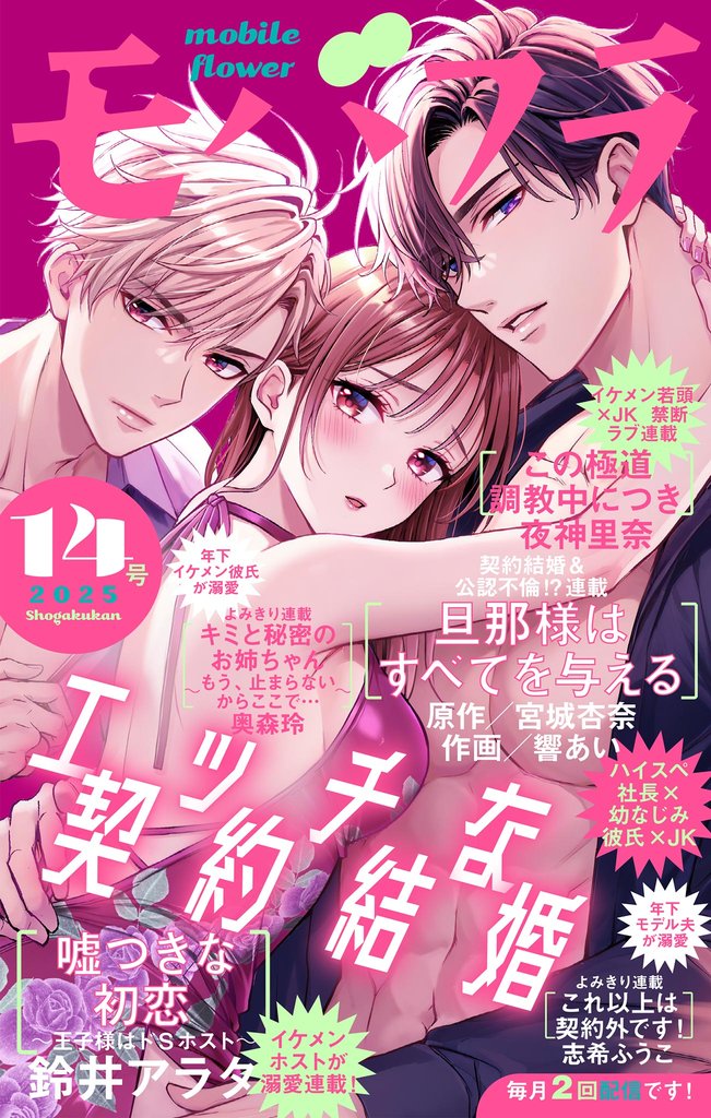 モバフラ 565 冊セット 最新刊まで