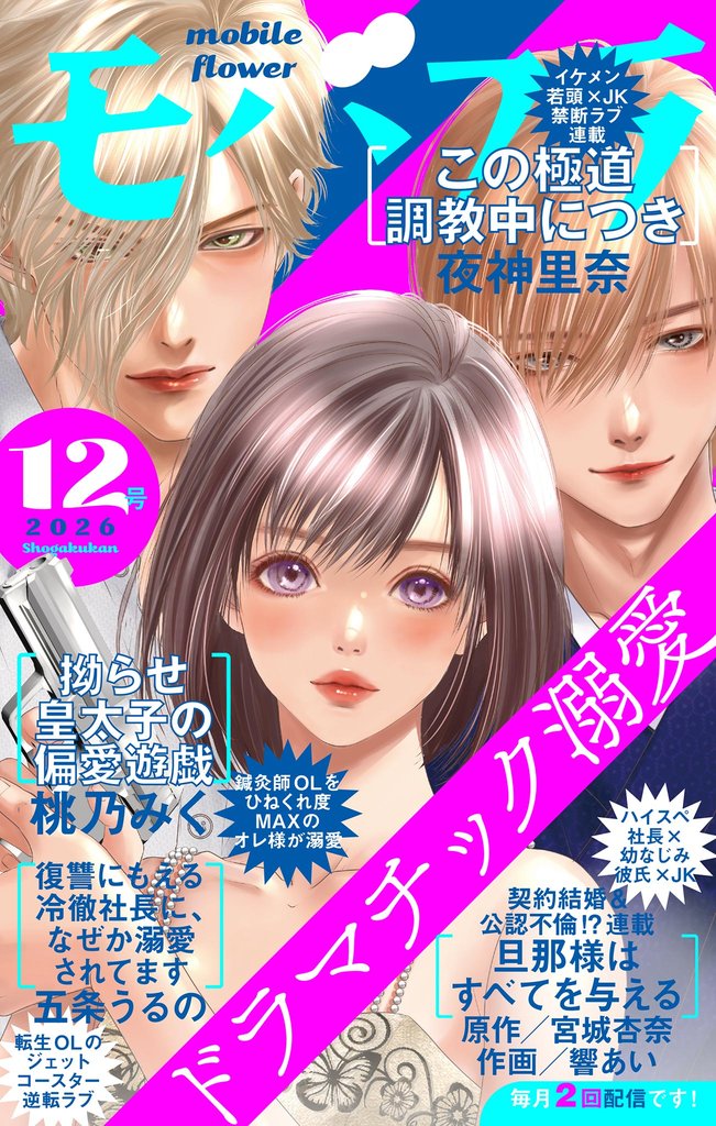 モバフラ 587 冊セット 最新刊まで