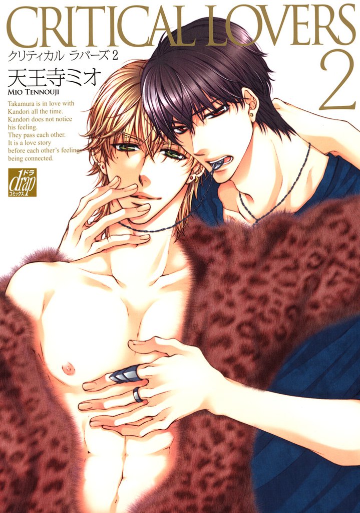 CRITICAL LOVERS 2 冊セット 全巻