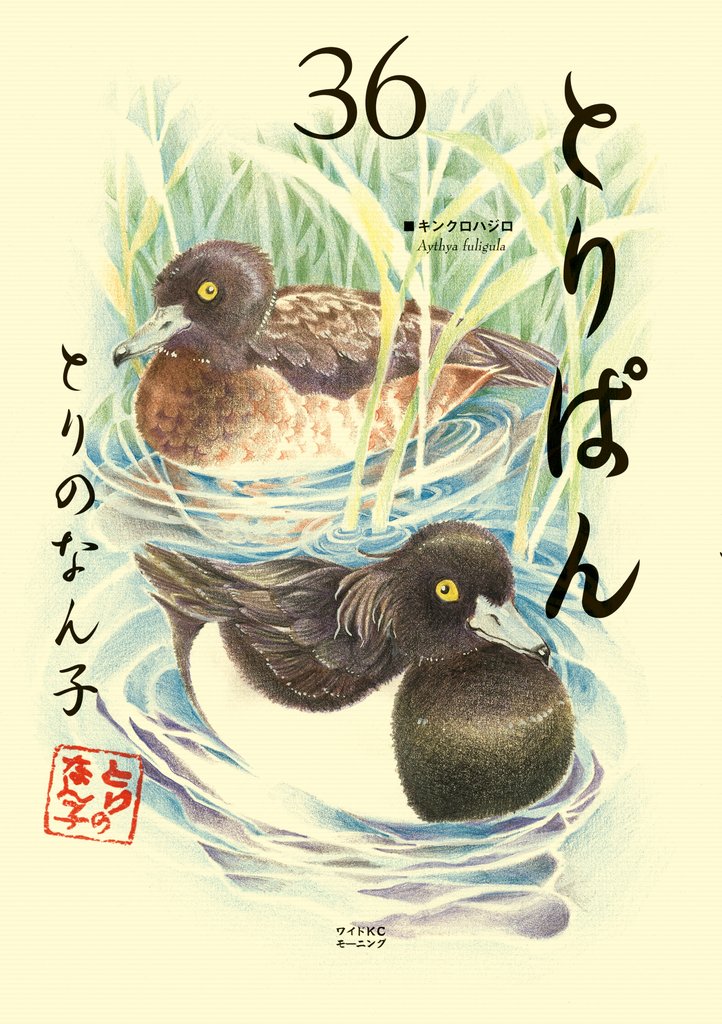 とりぱん 36 冊セット 最新刊まで