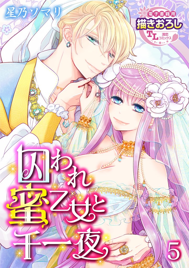 囚われ蜜乙女と千一夜 5 冊セット 最新刊まで