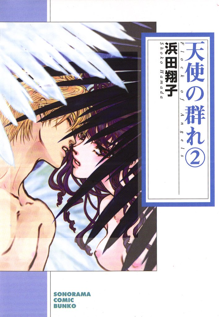 天使の群れ 2 冊セット 最新刊まで