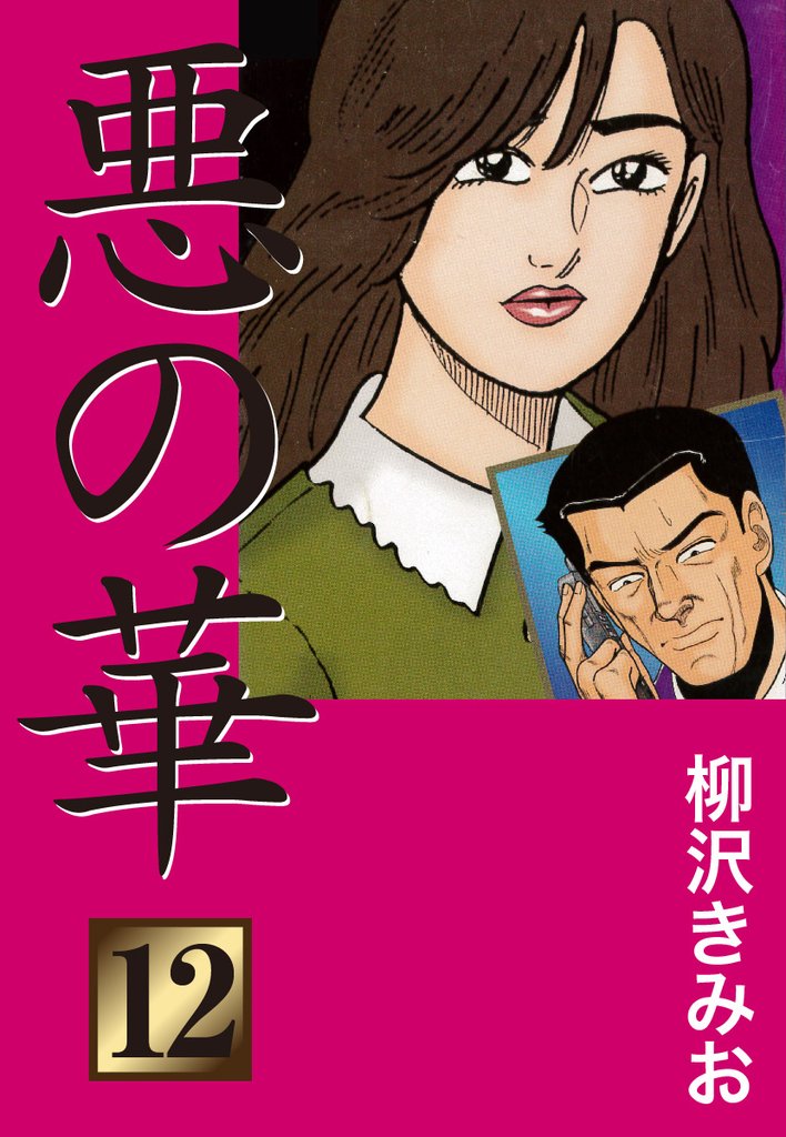 悪の華　愛蔵版 12 冊セット 全巻