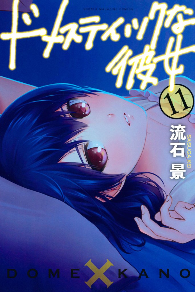 ドメスティックな彼女（１１）