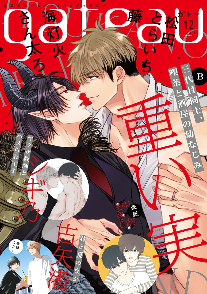 gateau (ガトー) 2020年12月号[雑誌] ver.B