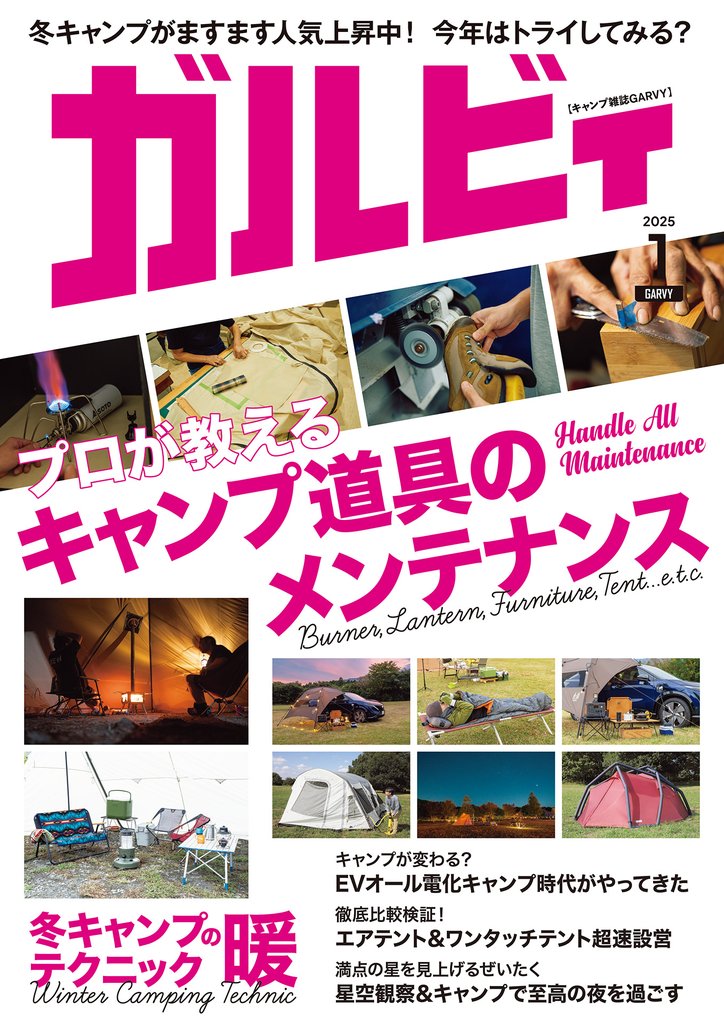 ガルビィ 4 冊セット 最新刊まで