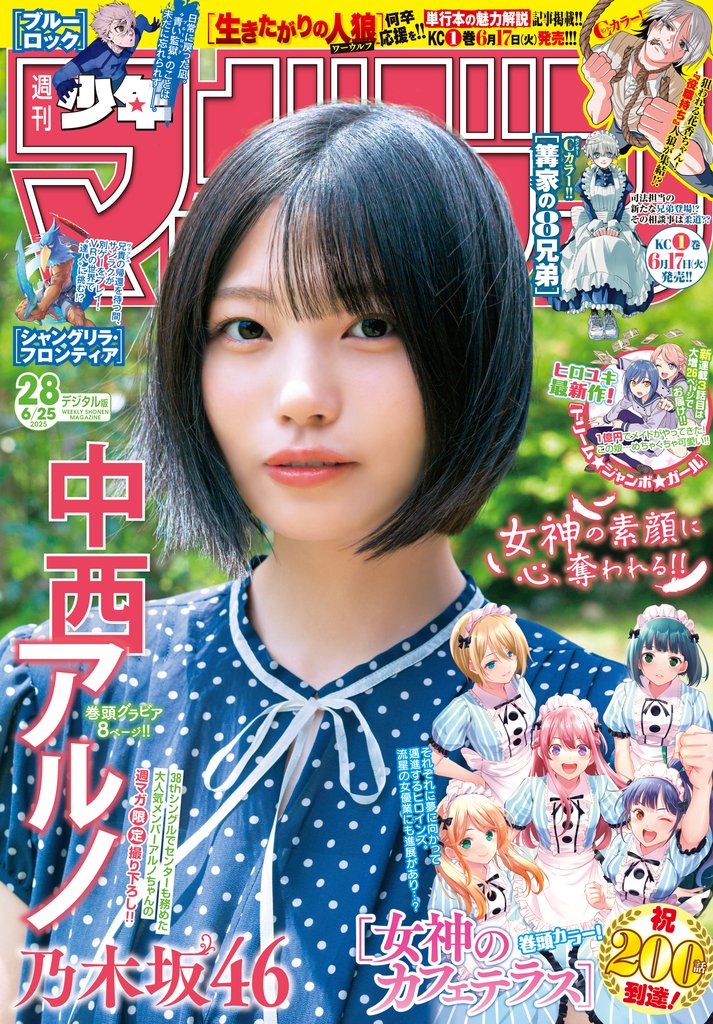 週刊少年マガジン 12 冊セット 最新刊まで