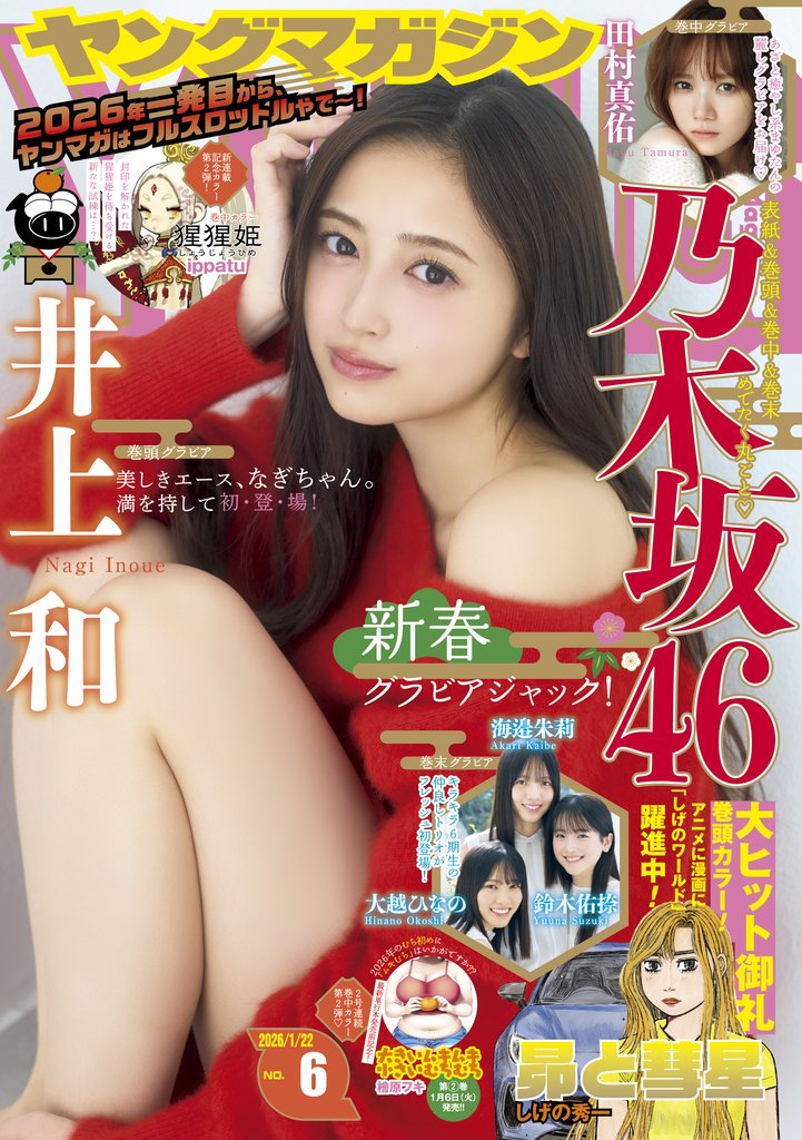 ヤングマガジン 11 冊セット 最新刊まで