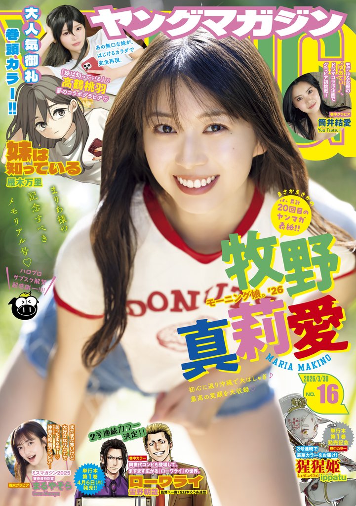 ヤングマガジン 12 冊セット 最新刊まで