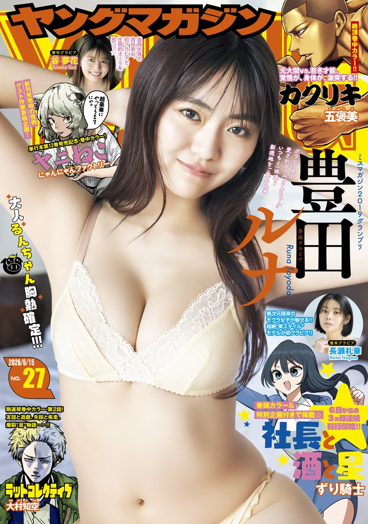 ヤングマガジン 12 冊セット 最新刊まで
