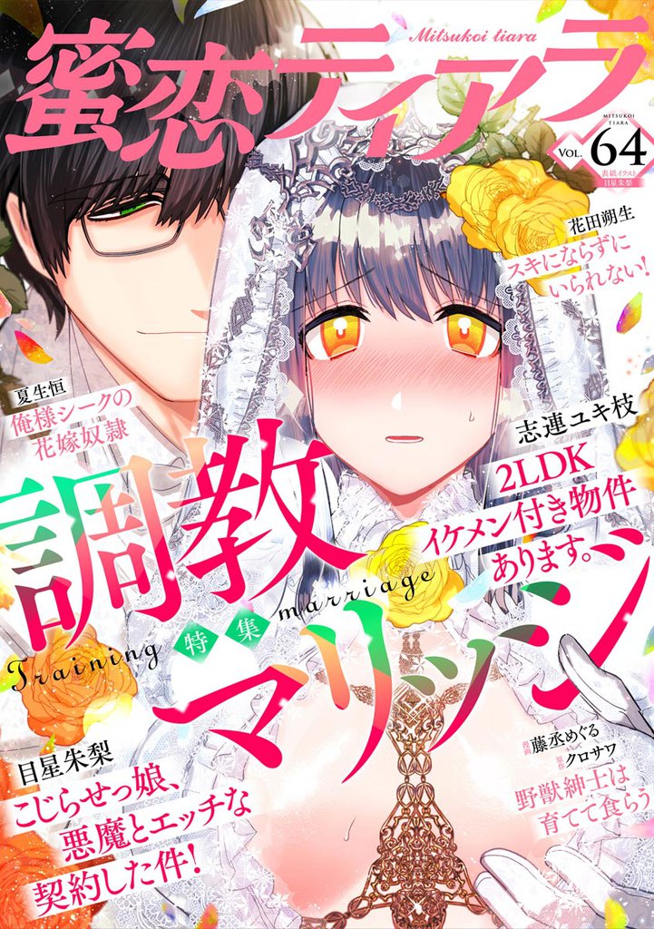 蜜恋ティアラ調教マリッジ　Vol.64