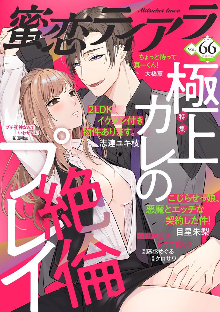 蜜恋ティアラ極上カレの絶倫プレイ　Vol.66
