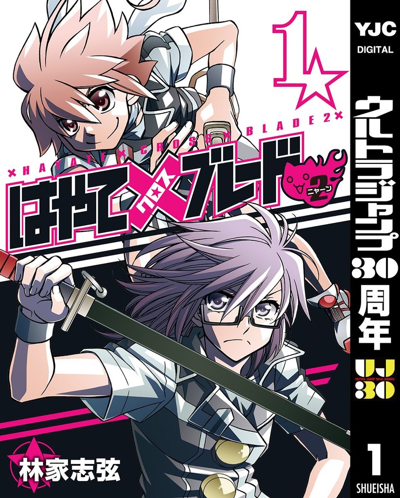 はやて×ブレード2 1