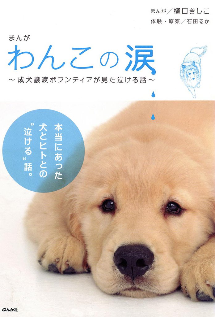 まんが　わんこの涙～成犬譲渡ボランティアが見た泣ける話～
