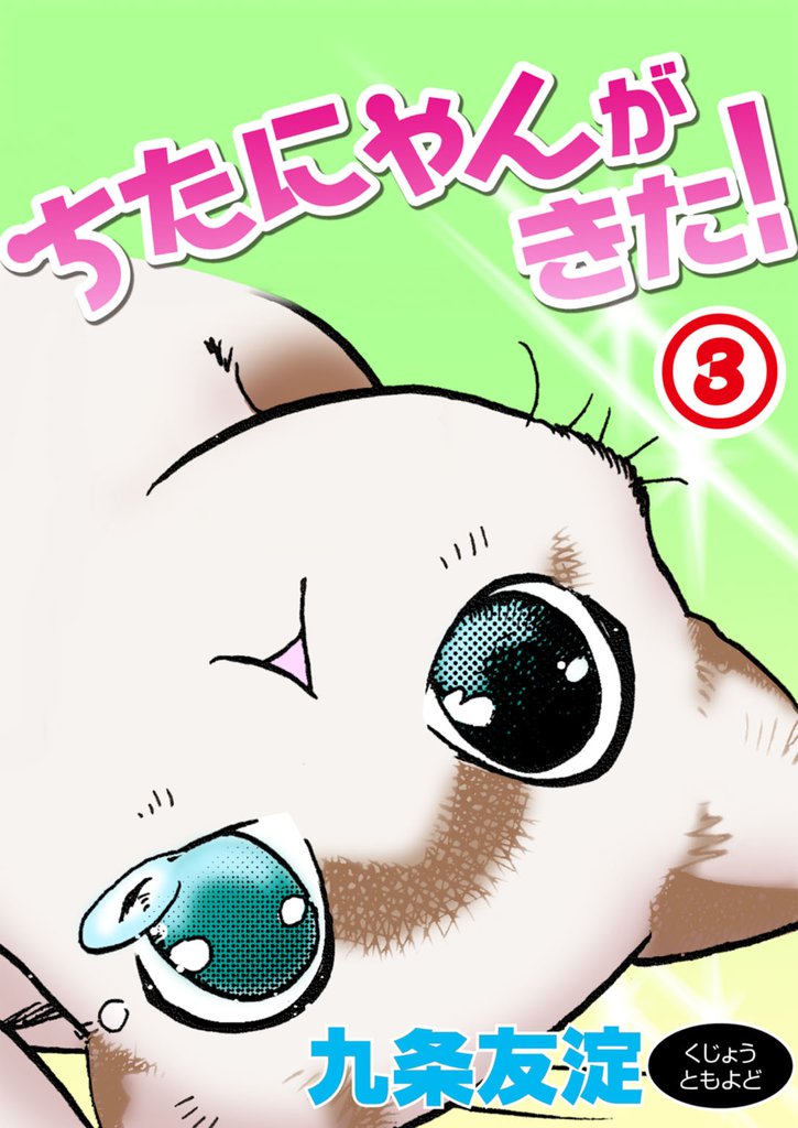 ちたにゃんがきた!3