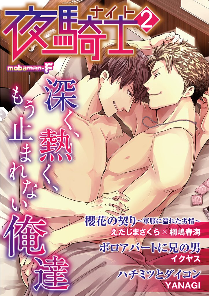 夜騎士 vol.2