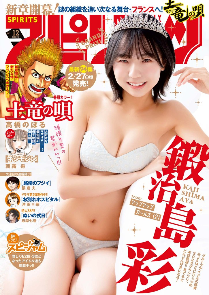 週刊ビッグコミックスピリッツ 480 冊セット 最新刊まで