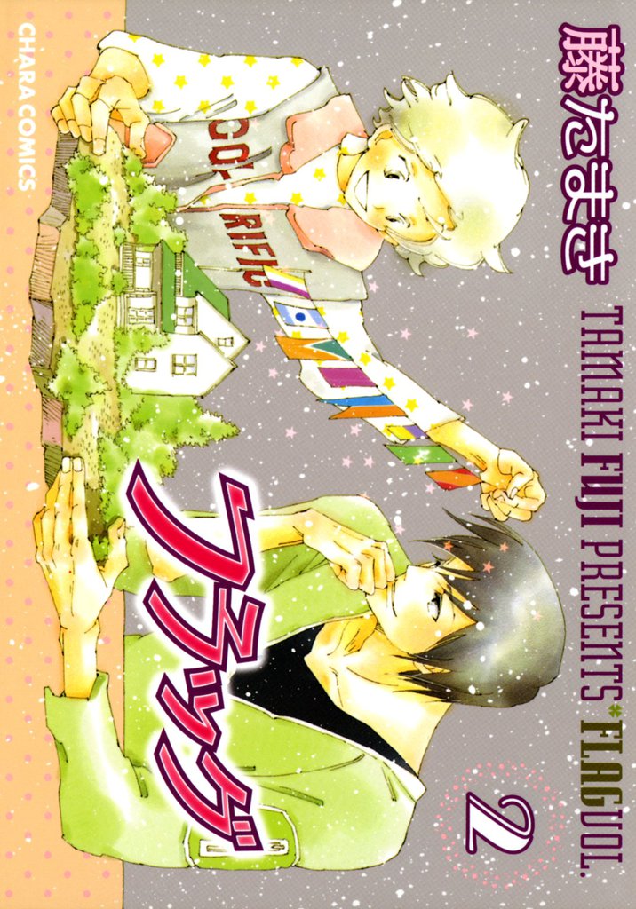 フラッグ 2 冊セット 全巻