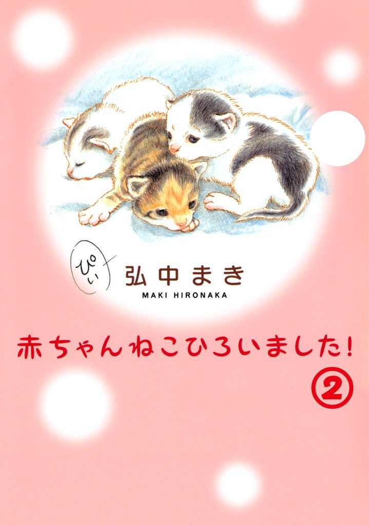 赤ちゃんねこひろいました！その2