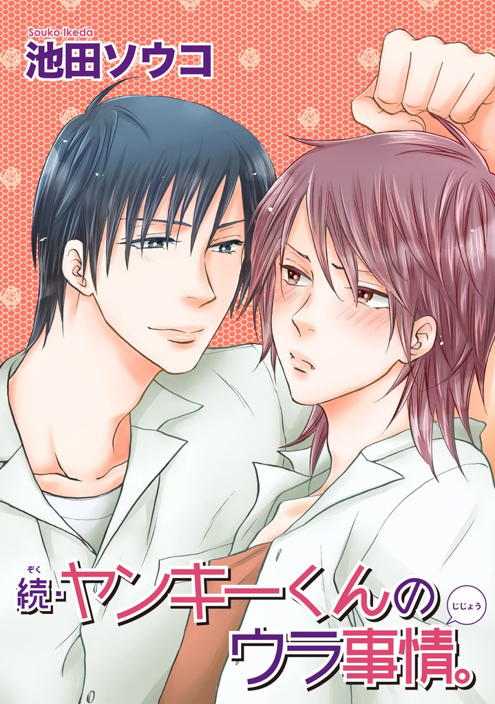 続・ヤンキーくんのウラ事情。 【短編】