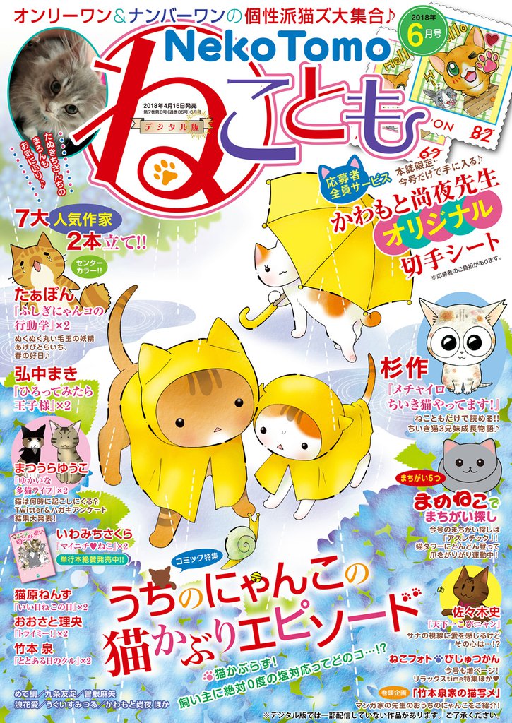ねこともvol.55