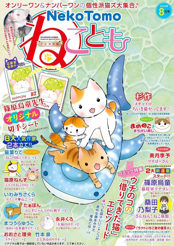 ねことも vol.62