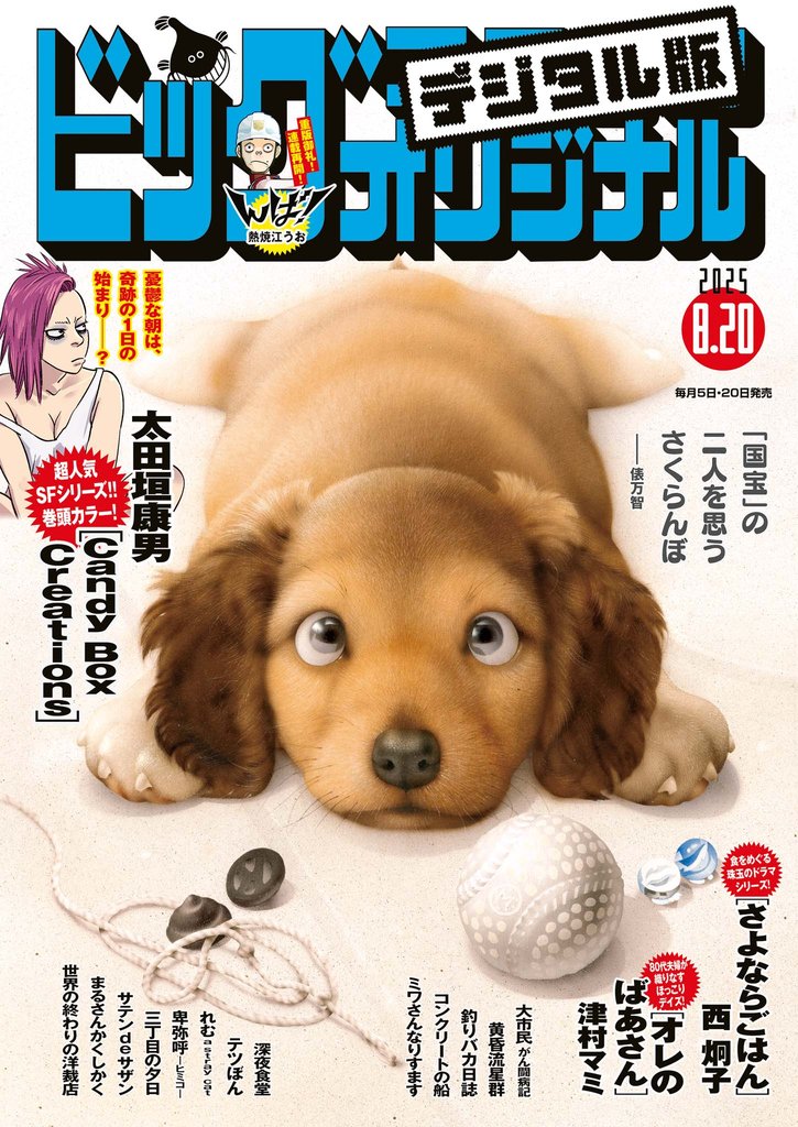 ビッグコミックオリジナル 190 冊セット 最新刊まで