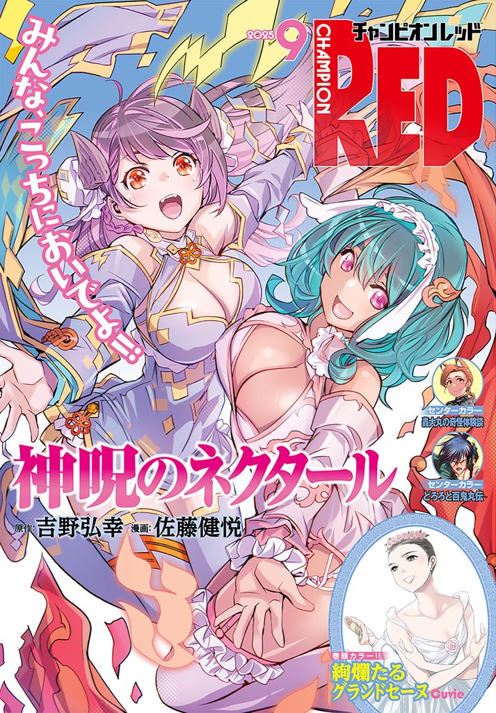 チャンピオンRED 13 冊セット 最新刊まで
