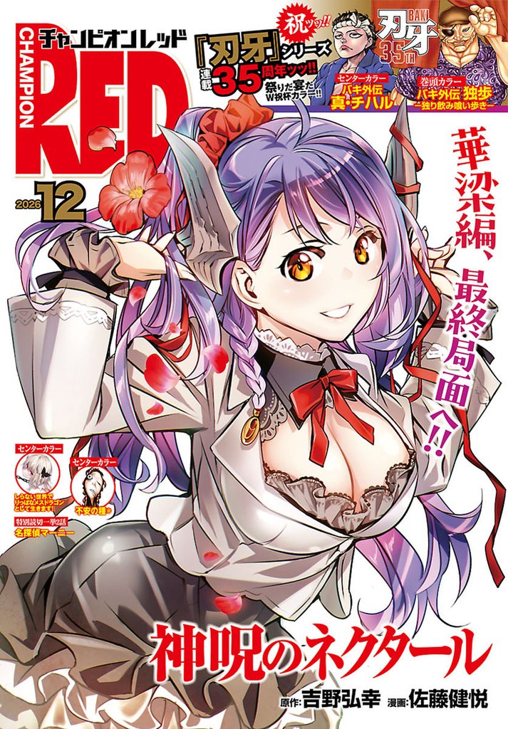 チャンピオンRED 12 冊セット 最新刊まで
