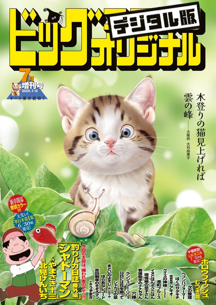 ビッグコミックオリジナル増刊 47 冊セット 最新刊まで