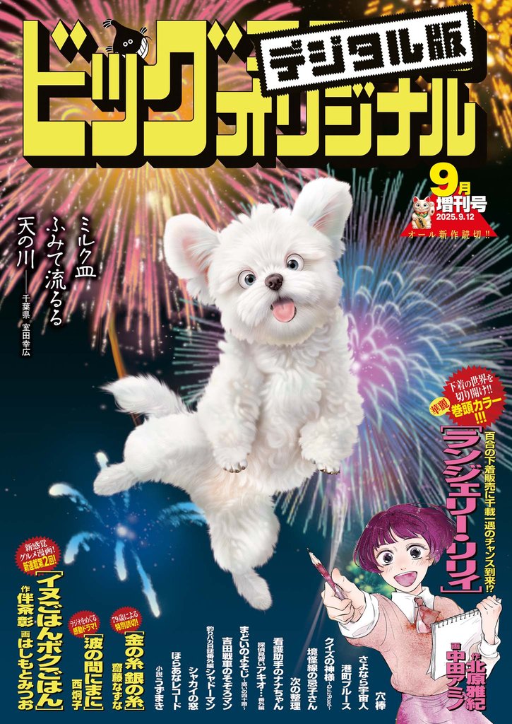 ビッグコミックオリジナル増刊 48 冊セット 最新刊まで